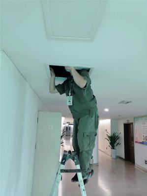 專業(yè)滅鼠，守護(hù)健康——廣漢工廠滅鼠服務(wù)咨詢與信息指南