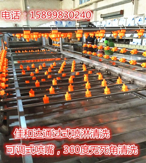 食品周轉(zhuǎn)箱清洗機(jī)與膠箱自動噴淋清洗機(jī) 珠三角廠家直銷的高效解決方案